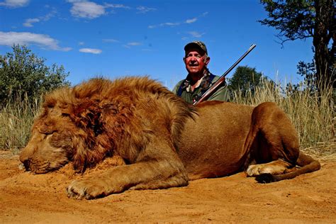 Hunting Lions In South Africa With Mkulu African Lion Hunting Safaris