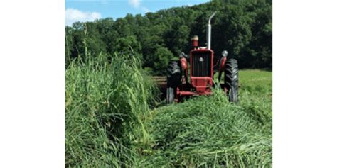 Native Warm Season Grass Hay Production Morning Ag Clips
