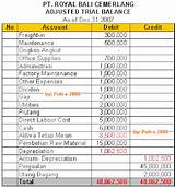 Images of Adjusted Trial Balance
