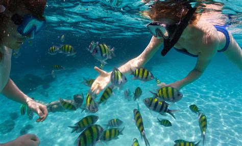 Premium Morning Snorkel And Sail Day Excursion In Key West
