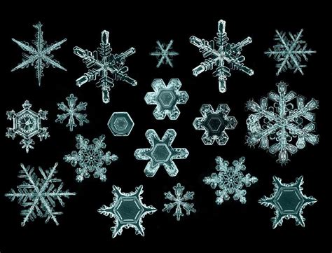 How Snow Looks Up Close Snowflakes Real Snowflake Images Snowflakes