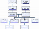 The Guise Family History