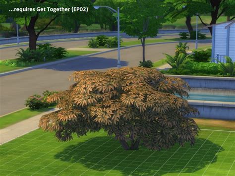Mod The Sims 4 Unlocked Plants 2 Trees And 2 Shrubs