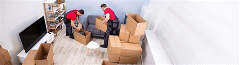 Moving Services In Collingwood Foothills Movers
