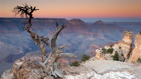 Iqtisadi xeberler, şou biznes xəbərləri , siyasi xeberler, kriminal xeberler, idman xeberleri, muharibe xeberleri. Arizona Pictures and Facts