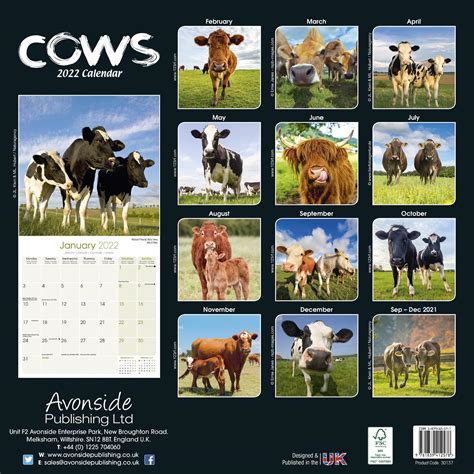 Cows Calendar Animal Calendars Pet Prints Inc