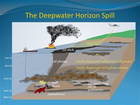 Ppt Ecosystem Injuries From The Deepwater Horizon Blow Out A Tale Of