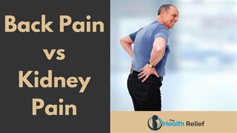 Back Pain Vs Kidney Pain Youtube