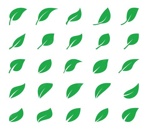 Conjunto De ícones De Folhas Verdes Folhas De árvores E Plantas ícone
