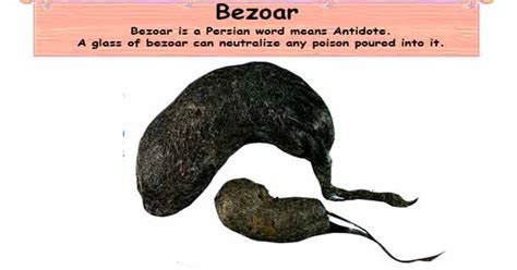 Bezoar Types Symptoms Causes Diagnosis Test And Treatment