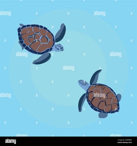 Vector Of Two Sea Turtles Swimming In The Turquoise Sea Stock Vector