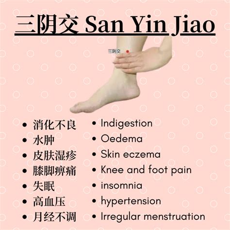 三阴交 San Yin Jiao Yoga And Tcm