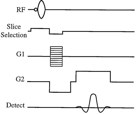 The Radiofrequency Rf And Gradient G Pulse Sequences For The Flash