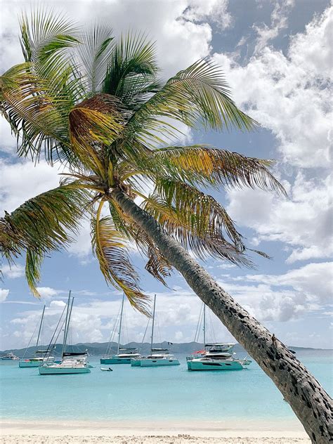 Established in the early 1990s, c & c is locally owned by charlie marsh and managed by his daughter, carishma marsh, members of one of st. St. John, USVI Travel Guide 2019 - Brunch on Sunday ...