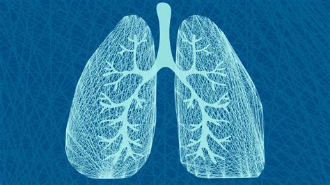 Home > types of cancer > lung cancer treatment in malaysia. Should You Have a Lung Cancer Screening? - Consumer Reports