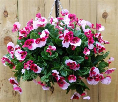 Pretty Pink Pansy Artificial Hanging Basket The Artificial Flowers