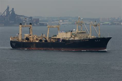 Mv Nisshin Maru Mv Nisshin Maru Whaler Factory Ship Ky Flickr