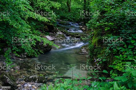 Mountain Stream With Rock Cascades In The Wilderness Stock Image