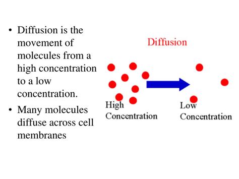 Ppt Diffusion Is The Movement Of Molecules From A High Concentration