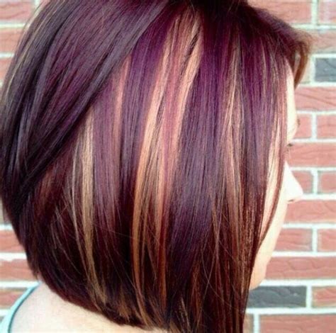 Chocolate Brown Hair Purple And Caramel Highlights Plum Hair Hair