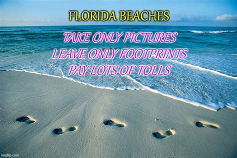 Florida Beaches Imgflip