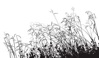 ✓ free for commercial use ✓ high quality images. Meadow Grass Silhouette (With images) | Grass silhouette ...