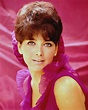 40 Glamorous Photos of Suzanne Pleshette in the 1960s ~ Vintage Everyday