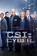 CSI: Cyber - Rotten Tomatoes
