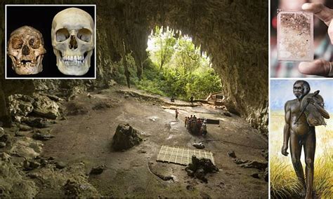 Remains Of Fires On Flores Suggests Homo Sapiens Arrived There Earlier