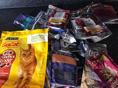 Heres How To Store Your Opened Cat Food Pouches Usfoods