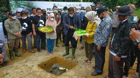 Pembangunan Suaka Badak Sumatera Di Aceh Timur Dimulai