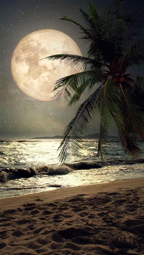 Night Beach Wallpapers 76 Pictures