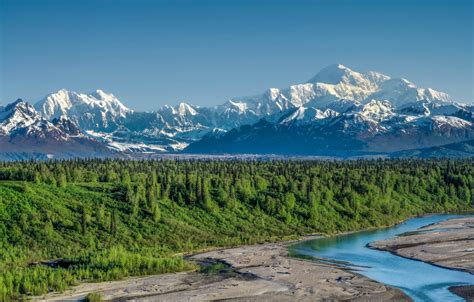 Wallpaper Forest Mountains River Alaska Alaska Denali National