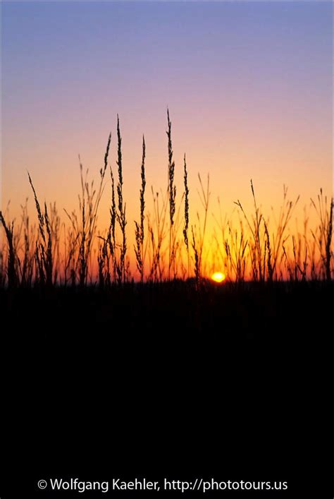 Sunset In The Tall Grass Prairie — Photo Tours