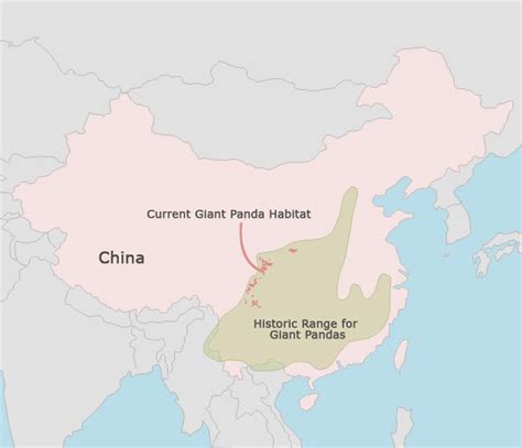 Maps Of Giant Pandas Giant Panda Distribution Map Giant Panda Panda