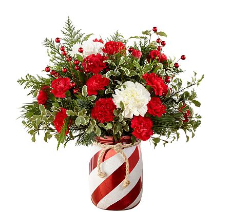 We did not find results for: FTD Holiday Wishes Bouquet · FTD® Christmas Budget ...