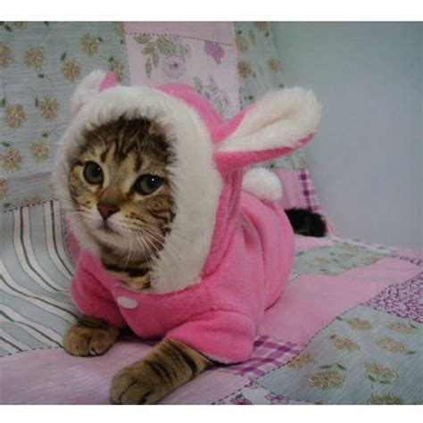 Cute Pet Dog Cat Clothes Cat Outfit Dog Pajama Small Dog