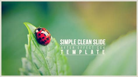 Simple Clean Slide By Kalimanstudio On Envato Elements