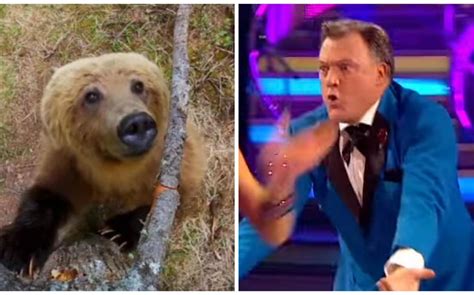 Strictlys Ed Balls Finally Upstaged By Pole Dancing Bear On Planet