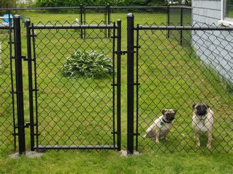 10 Best Dog Fence Ideas