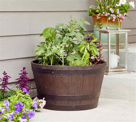 Growing Vegetables In Containers Better Homes And Gardens