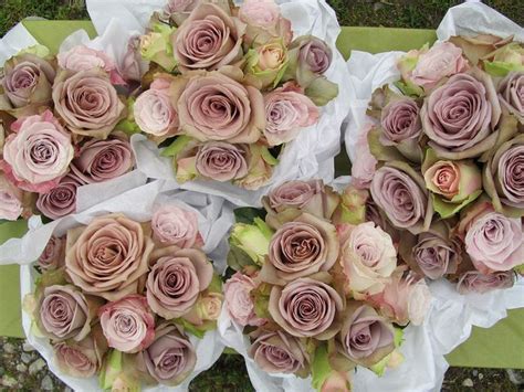 Amnesia And Faith Roses In Bridesmaids Posies Pink Wedding Flowers