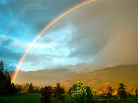 Rainbow Weather Wiki Fandom Powered By Wikia