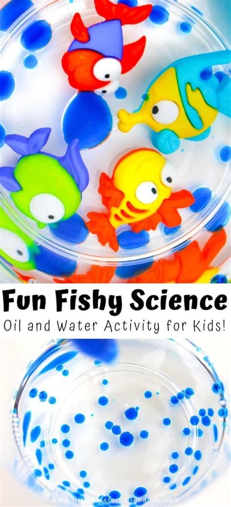 Oil And Water Experiment For Kids Oil And Water Experiment Water