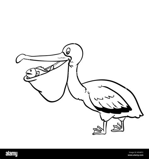 Isolated Pelican Cartoon Vector Hand Drawn Illustration Stock Photo Alamy