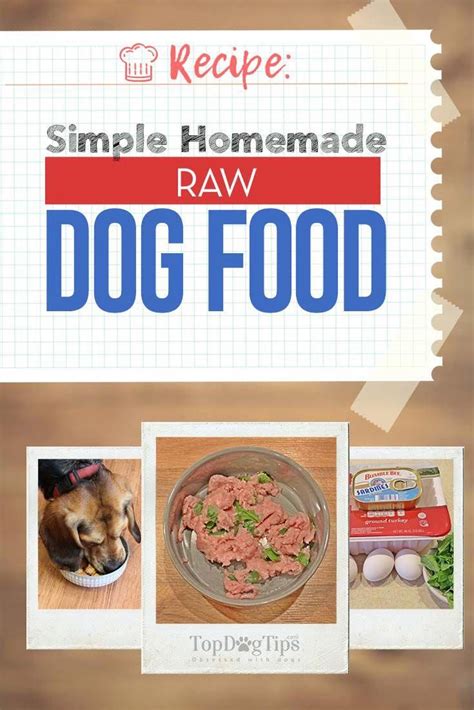 Homemade Raw Dog Food Recipe Quick And Easy Incl Video