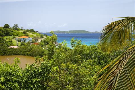 Bougainvillea At Palm Terrace Villas St John Us Virgin Islands