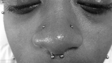some high nostril piercings and septum ring by charlotte high nostril piercing nose ring