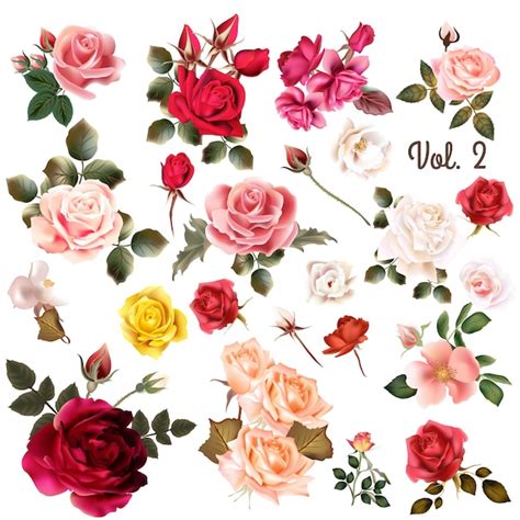 Premium Vector Coloured Roses Collection