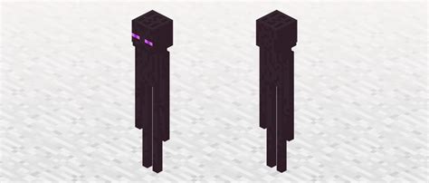 Meet The Enderman Minecraft